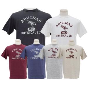 WAREHOUSEウエアハウス Tシャツ 4601 AQUINAS