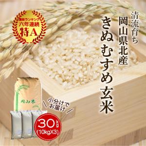 お米 米 玄米 30kg きぬむすめ 岡山県産 令和４年産 こめ おこめ