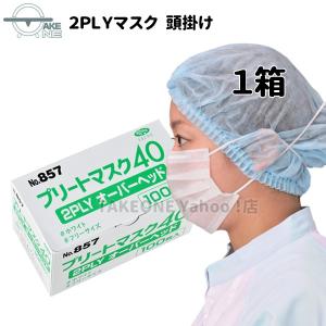 オーバーヘッド2層マスク 不織布マスク エブノ 1箱100枚 飛沫防止 2層構造 プリートマスク40 オーバーヘッドタイプ 2PLY ホワイト no.857