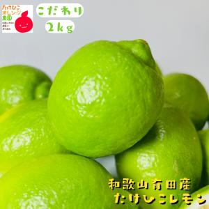 国産(和歌山有田産)レモン 約２ｋｇ(ノーワックス)(防腐剤不使用)(減農薬)