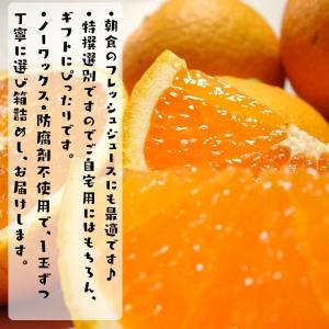 特撰 清見オレンジ (樹上完熟) 5kg_ ノ...の詳細画像5
