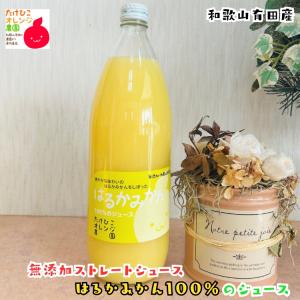 無加糖無加水 アップルメイト の 果汁100%ストレートりんごジュース 1L