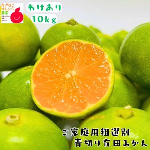 【予約】ご家庭用 粗選別 青切り 有田みかん 10kg +200g(痛み補償分)_ わけあり 訳あり フルーツ 果物 送料無料 極早生 ミカン くだもの 産地直送 人気 和歌山
