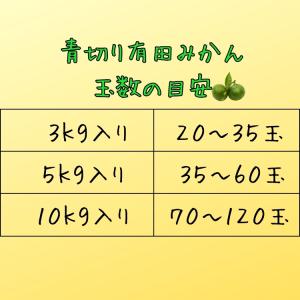 【予約】ご家庭用 粗選別 青切り 有田みかん ...の詳細画像4