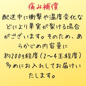 【予約】ご家庭用 粗選別 青切り 有田みかん ...の詳細画像5