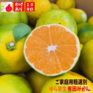 (有田みかん/極早生)ご家庭用粗選別極早生有田みかん