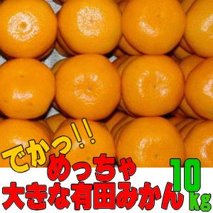 めっちゃ 大きな 有田みかん 10kg_ 大粒 3L 4L フルーツ 果物 送料無料 ミカン くだも...