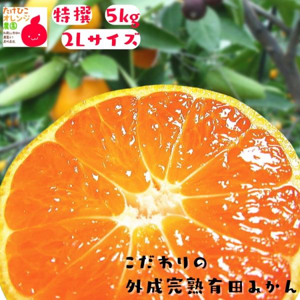 有田みかん 特撰 こだわりの外成完熟有田みかん ２Ｌサイズ 5kg（ギフト/送料無料/お歳暮）