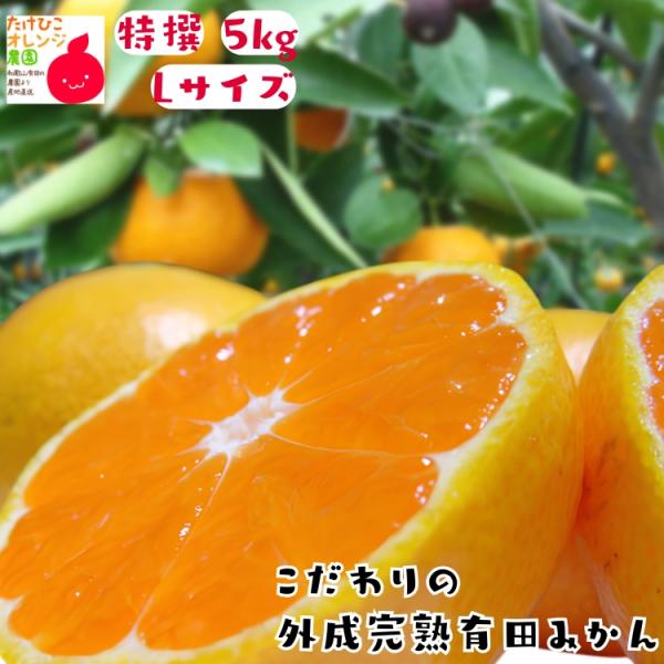 【予約】有田みかん 特撰 こだわりの 外成 完熟 有田 みかん Lサイズ 5kg＋200g 秀品 フ...