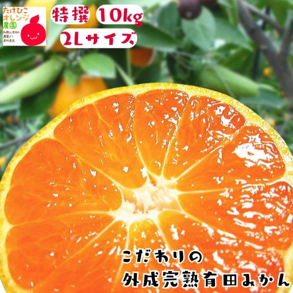 【予約】有田みかん 特撰 こだわりの 外成 完熟 有田 みかん 2Lサイズ 10kg＋200g 秀品...