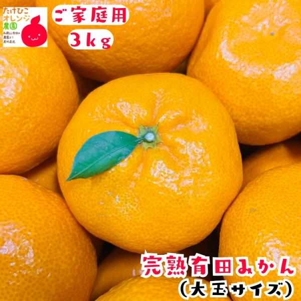 【予約】ご家庭用 大玉 完熟 有田みかん ２L〜３Lサイズ 3kg+200g(痛み補償分)  _ わ...