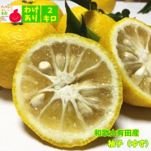 ゆず 000000153451-01-m.jpg?t=