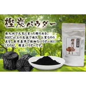 炭パウダー 食用100g 南九州産 食べる樫炭粉 放射能検査済み