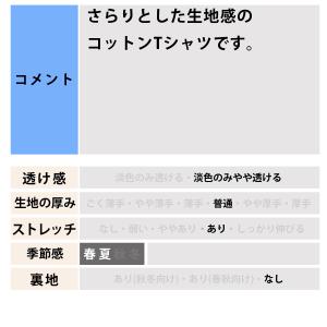 チャンピオン 半袖 送料無料 Tシャツ メンズ...の詳細画像5