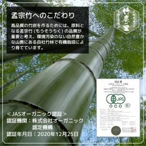 竹炭の里 竹炭パウダー 30g 10ミクロン ...の詳細画像2