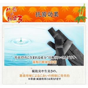 3袋 500g 竹炭 セット 竹炭パウダー 業務用 3袋 チャコール 食用 業務用 送料無料 チャコールクレンズ 竹炭 パウダー 2402 500g 3 竹炭の里
