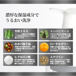 【詰替え用×2袋セット】KAGUYA かぐや ...の詳細画像4