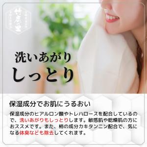 竹炭の里 竹せっけん ミニサイズ 14g お肌...の詳細画像3