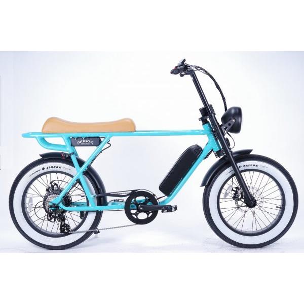 BRONX BUGGY 20&quot; e-bikeシェイドオブペール　ブロンクス　 RAINBOW　　電動...