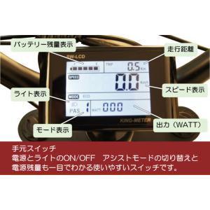 CYCOO GHOST (ゴースト) ミリタリ...の詳細画像2