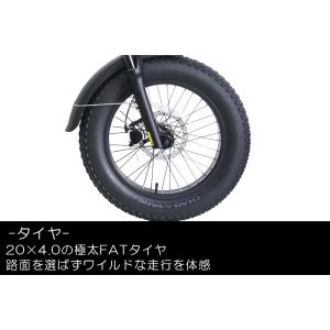 CYCOO GHOST WOLF (ゴースト)...の詳細画像4