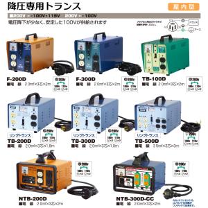 日動工業 降圧専用トランス NTB-300D-CCの詳細画像1