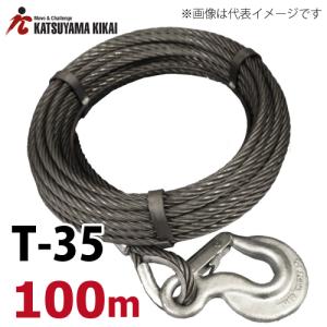 チルホール T-35W ワイヤーロープ10m付 携帯ウイン T35シリーズ