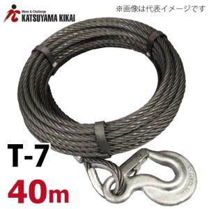 チルホール 750kg T-7 本体のみ 専用パイプハンドル付 携帯