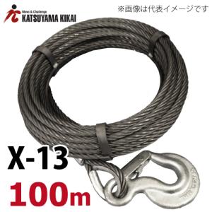 カツヤマキカイ  リバティ X-13用ワイヤロープ 100M X-13WR100M チル X5シリーズ チル X13シリーズ｜taketop