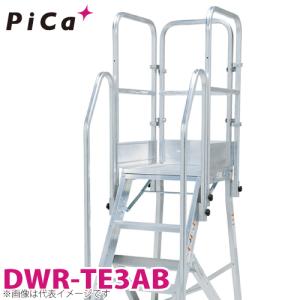 ピカ/Pica DWR用手すり DWR-TE3AB 適用型番：DER-90〜150A｜taketop