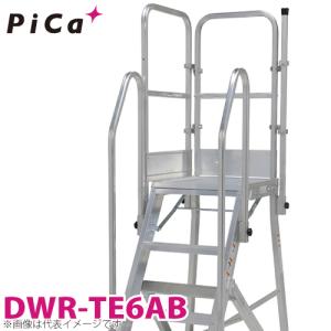ピカ/Pica DWR用手すり DWR-TE6AB 適用型番：DER-90〜150A｜taketop