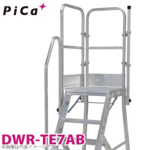 ピカ/Pica DWR用手すり DWR-TE7AB 適用型番：DER-90〜150A｜taketop