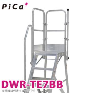 ピカ/Pica DWR用手すり DWR-TE7BB 適用型番：DWR-180A｜taketop