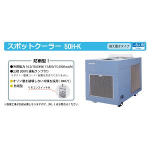 デンソー (配送先法人限定) スポットクーラー...の詳細画像1