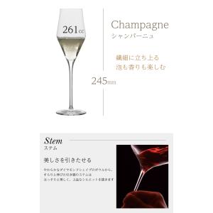 プラティーヌ シャンパングラス 2脚セット 箱...の詳細画像2