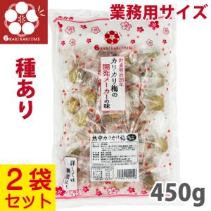 赤城フーズ 種とりカリカリ梅 1袋 210g 4袋セット 大粒 業務用サイズ