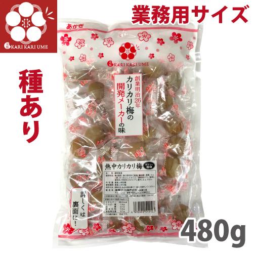 赤城フーズ 熱中カリカリ梅 業務用サイズ 480g ガツンとスッパしょっぱい国産カリカリ梅