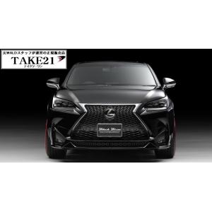 【T21】WALD ヴァルド レクサスNX AYZ/AGZ 10/15 フロントスポイラー 前期 ハ...