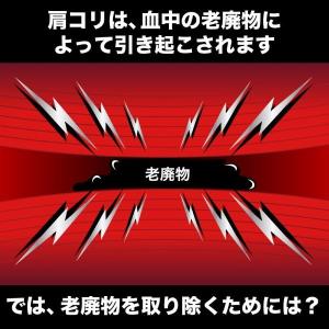 バンデル 磁気ネックレス スポーツネックレス ...の詳細画像5
