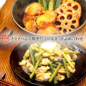 フライパンで簡単調理！　ミールキット詰め合わせセット