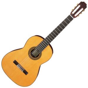 【24時間限定】23000円⇒15500円 アリア a35ce エレガット A-35CE | Basic (Electric Cutaway) | Products | ARIA 荒井貿易