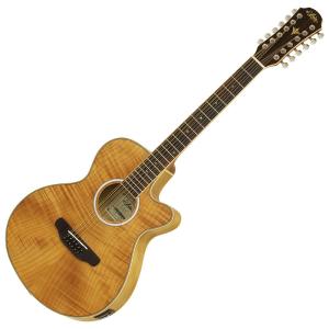 調整済 アリア FET-DLX/12 12弦　エレアコ　エレクトリックアコースティックギター