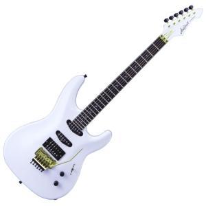 AriaProII RS-CUSTOM 《送料・代引き手数料無料》 : 盛幸堂楽器