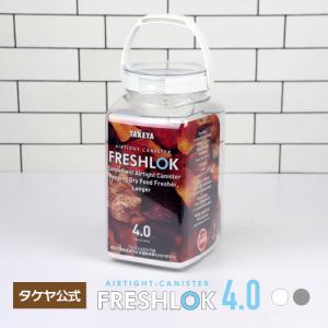 FRESHLOK メーカー公式 フレッシュロック 角型300ml タケヤ チャコール