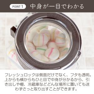 メーカー公式 フレッシュロック 角型300ml...の詳細画像1