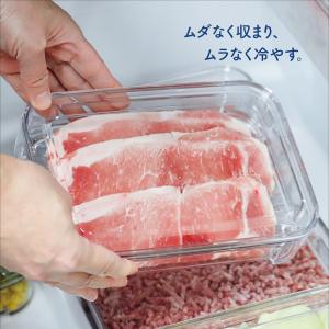メーカー公式 フリーズストック タケヤ クリア...の詳細画像1