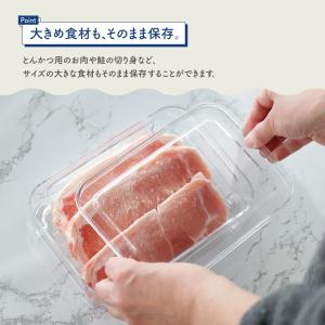 メーカー公式 フリーズストック タケヤ クリア...の詳細画像2