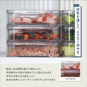 メーカー公式 フリーズストック タケヤ クリア...の詳細画像3