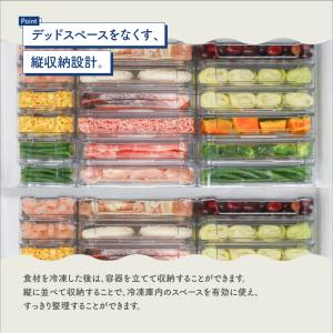 メーカー公式 フリーズストック タケヤ クリア...の詳細画像4