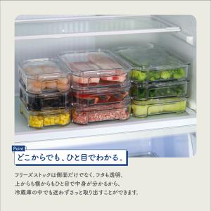 メーカー公式 フリーズストック タケヤ クリア...の詳細画像5